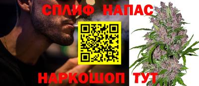молекула духа Будённовск