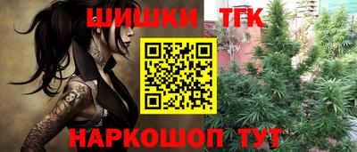 молекула духа Будённовск