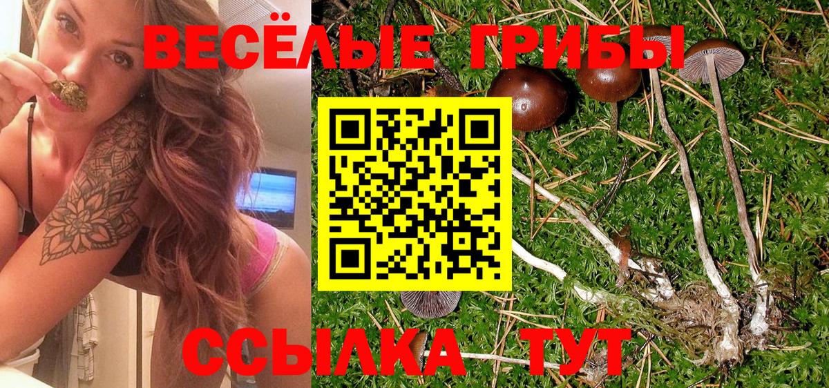 Нижний Тагил  Псилоцибиновые грибы MAGIC MUSHROOMS  Вход с VPN 